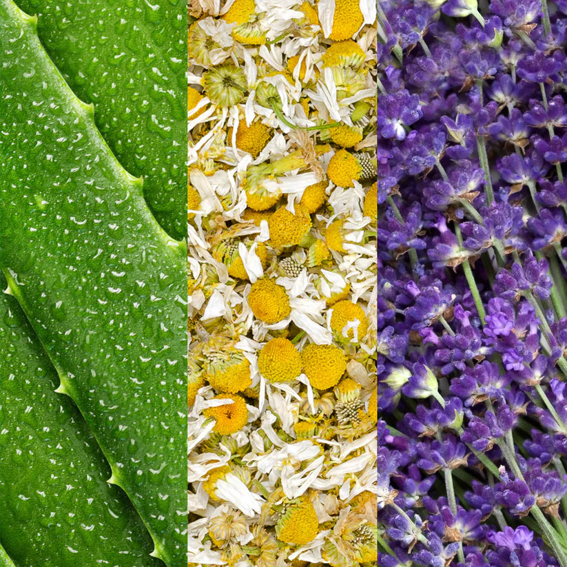 Mario Badescu - Spray visage à l'aloès, à la camomille et à la lavande - Format Voyage 59ml