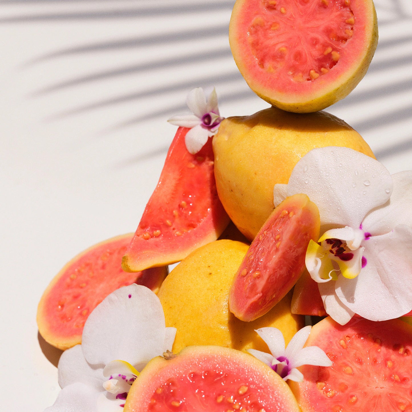 Sol de Janeiro - Cheirosa 48 Perfume Mist (90 ml)