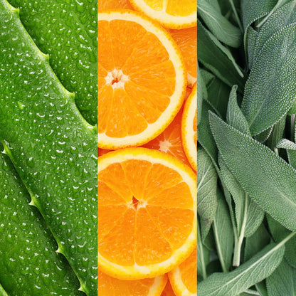 Mario Badescu - Spray visage à l'aloe vera, sauge et fleur d'oranger - Format Voyage 59ml